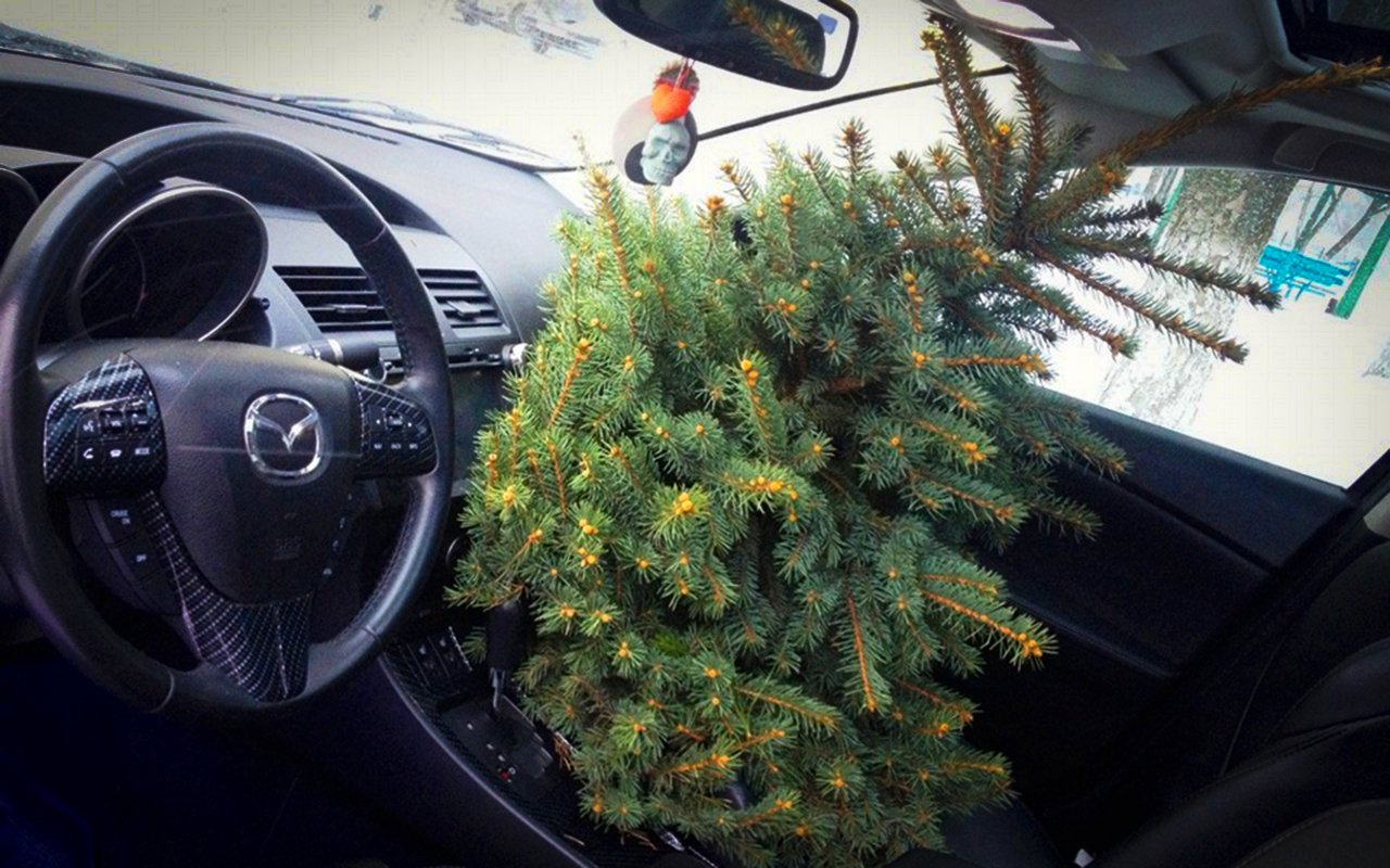 Новогодняя елочка в салоне машины